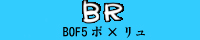 br.jpg
